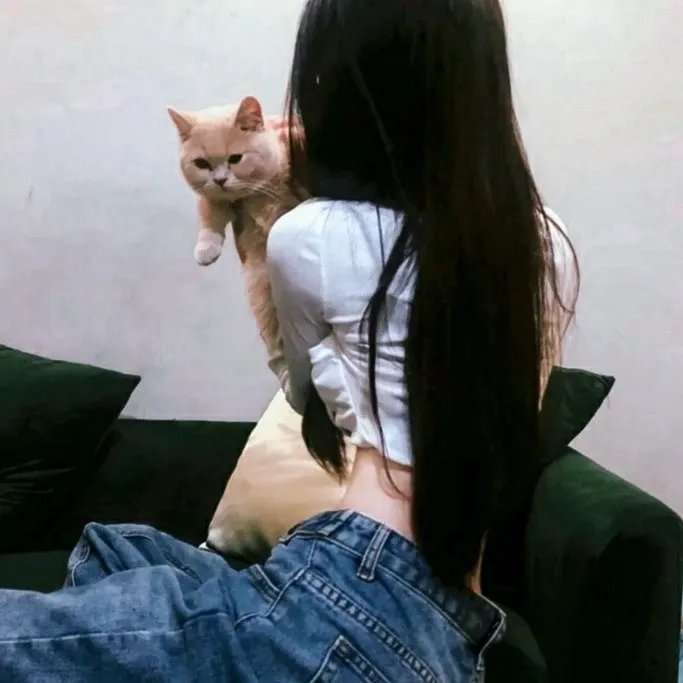 爱情的证明